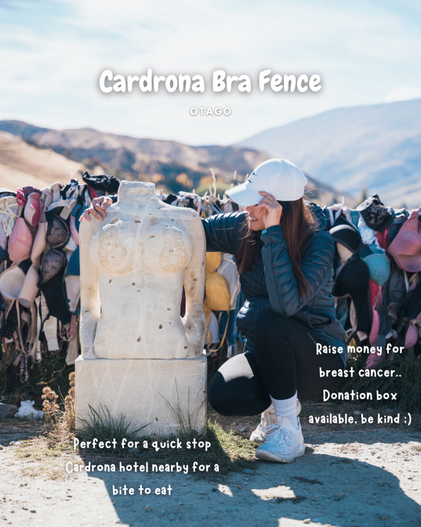 Cardrona Bra Fence. Otago, New Zealand