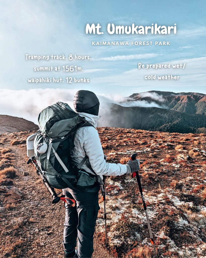 Mount Umukarikari, Kaimanawa Forest Park, New Zealand