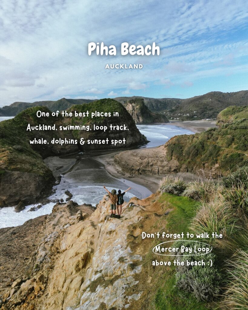Piha Beach, Auckland, New Zealand